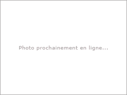 CIE LES CHANTS DE LAMES